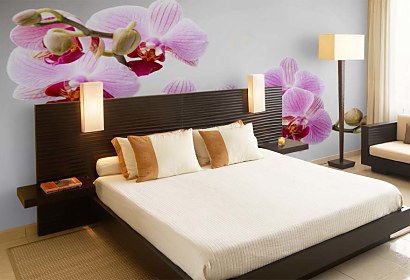 Fototapeta Orchid  bloom 24831